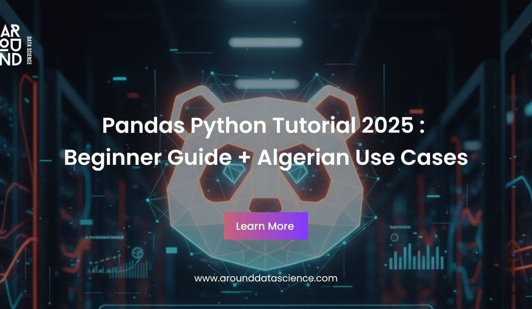 Pandas Python Library Tutorial 2025 : Beginner Guide + Algerian Use Cases
